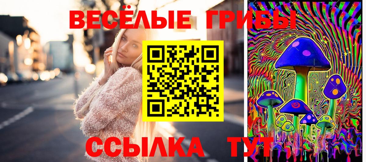 Псилоцибиновые грибы Psilocybe  Вход с VPN  Унеча 