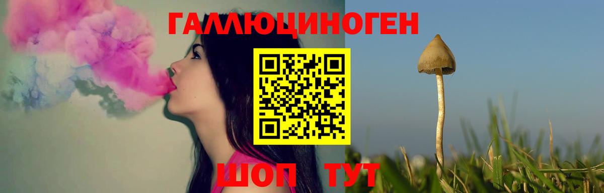 Унеча  A PVP СК   Меф МЯУ МЯУ кристаллы  Гашиш  Канабис  Вход с VPN  Cocaine 